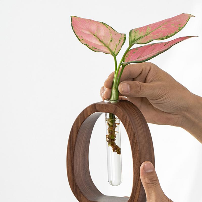 Elegant walnut glass design Creative Hydroponic Plants Container With Wood Frame Transparent Glass Tube Vase Bonsai Home Decor