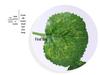 Artificial Pothos Vines: Indoor Decorative Rattan Faux Greenery for Walls and Living Rooms