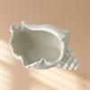Ocean Style Ceramic Jewelry Tray Desktop Earrings Necklace Storage Dish Ceramic Conch Shell  Home