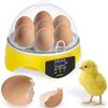 7 Eggs Chicken Bird Incubator Eggs Hatching Machine Automatic Intelligent Temperature Control Quail Parrot Brooder Farm Supplies