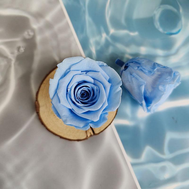Blue Series Dried Flower DIY Kit: Hydrangea, Thousand-Layer Gold, Eucalyptus Leaf Souvenir Decoration