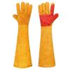 Robuste Schutzhandschuhe für Tierhandling und Hundetraining