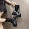 Women's Punk Platform Boots Autumn Spring New Gothic Leather Mid-Calf Boots Lace-Up Chunky High Heel Streetwear Motorcycle Botas