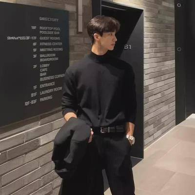 Herren Koreanischer Stil Lässiger Einfarbiger Pullover mit Stehkragen
