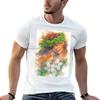 The Heritage TShirt Unisex T Shirts for Unisex Casual T Shirt for Unisex Funny T Shirts Dark Humor Tshirt