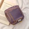 Mini Mesh Travel Toiletry & Makeup Storage Bag