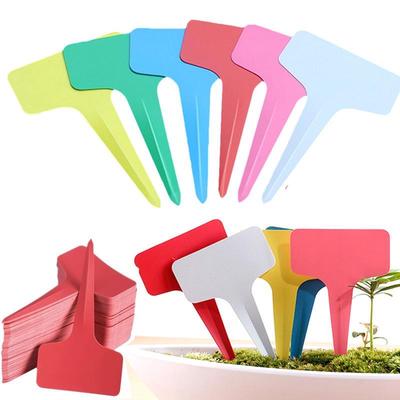 10ks/20ks Zahradnické štítky Školka Plastové PVC Rostlina Značkovač typu T Květina Zelenina Štítky