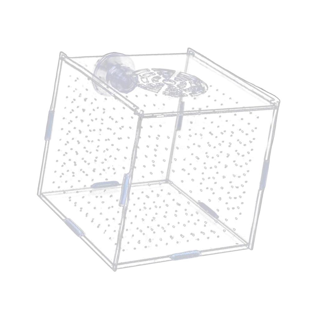 Breeding Isolation Container for Acrylic Tanks with Fry Holder