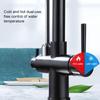 G1Celsius2 Modern 3 In 1 Filter Purifier Kitchen Faucet Double Handle PullOut Sink Hot Cold Water Tap(Electroplated )