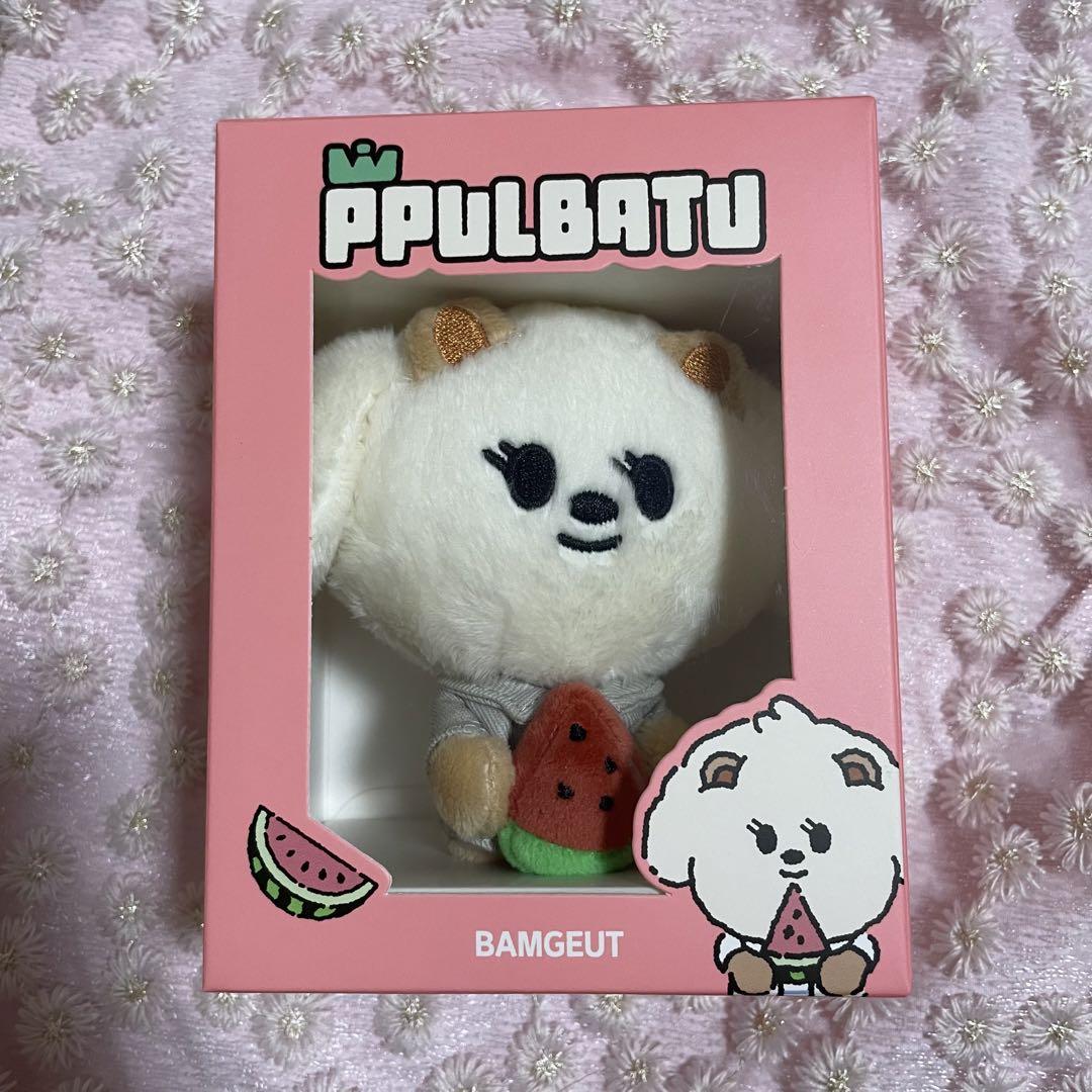 

[Б/У] BamGyu Бомгю Плюшевый Брелок Арбуз txt