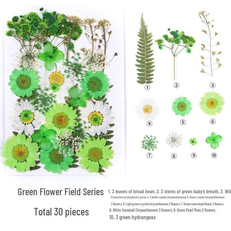 DIY Handmade Dried Flower Embossed Wall Clock with Wood Grain Border