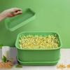 Green Sprout Dish Growing Pot Plastic Beans Seeding Pot New Plants Germination Tray
