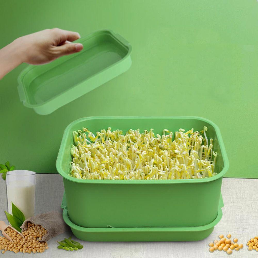 Green Sprout Dish Growing Pot Plastic Beans Seeding Pot New Plants Germination Tray