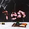 Sushi dishes sashimi platter plate decoration flowers mood plate decoration small ornaments creative embellishment flowers