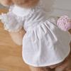 Lace Ruffle Dog Princess Dress Fashion Cat Flying Sleeve Skirt Pet Supplies Pet Clothes  Summer