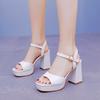 Fashion Women Party Evening Wedding Shoes for Women Summer Fashion Women Platform Super High White Peep Toe Sandals Plus Size 34-42