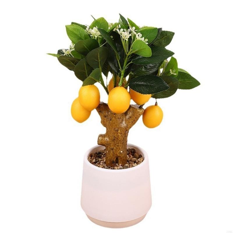 J0MC Artificial Simulation Fruit Branch Faux Miniature Fruit Stem Realistic Tree Branch Model for Office Desk Decors