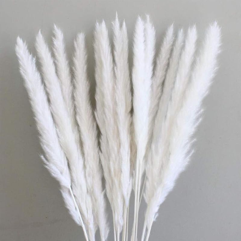 60 шт. Натуральные сушеные цветы Пампасная трава, Свадебный букет, Букет Phragmites Communis для цветочных композиций, Домашний декор (белый) белый