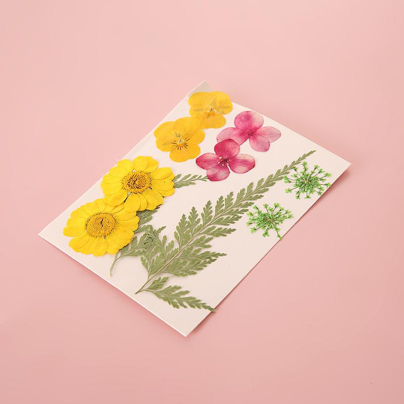 Handmade Pressed Flower Bookmark DIY Kit: Real Dried Flowers, Creative Craft, Unique Plant Specimen, Perfect Small Gift