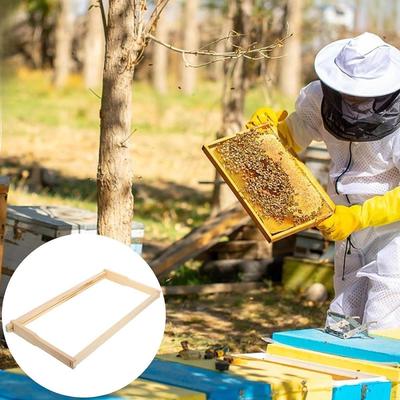Bienenstockrahmen Bienenstockboden Honiglagerung zum Füttern und Beobachten, Bienenstock Nisten