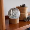 shesay Snow Globe Forest Christmas Fir Tree Reindeer Forest Natural Wood Ornament that blends seamlessly into your interior decor Entrance Desk