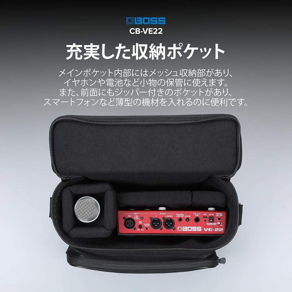 BOSS VE-22 Carrying Bag CB-VE22 - Ideal for Storing VE-22/VE-20 Earphones. Features High Durability, a Soft Interior, and Multiple External Pockets.