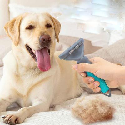 Pet Hair Removal And Grooming Brush And Comb
