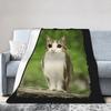 Meowl Cat Owl Brainrot Gen Meowl Blankets Fleece Autumn Portable Super Warm Throw Blankets for Home Office Plush Thin Quilt