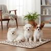Winter Dog Pee Pad Reusable PVC Washable Dog Urine Mat Car Seat Floor Sofa Waterproof Absorbent Puppy Cat Training Pet Supplies