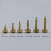 Gold and Silver Self-tapping Screw Kit with Washers, Assorted Models, 500g.