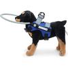 GabeFish Blind Dog Safety Gear, Anti-Collision Ring for Dogs, Reflective Bumper Collar Blue-Upgrade Small