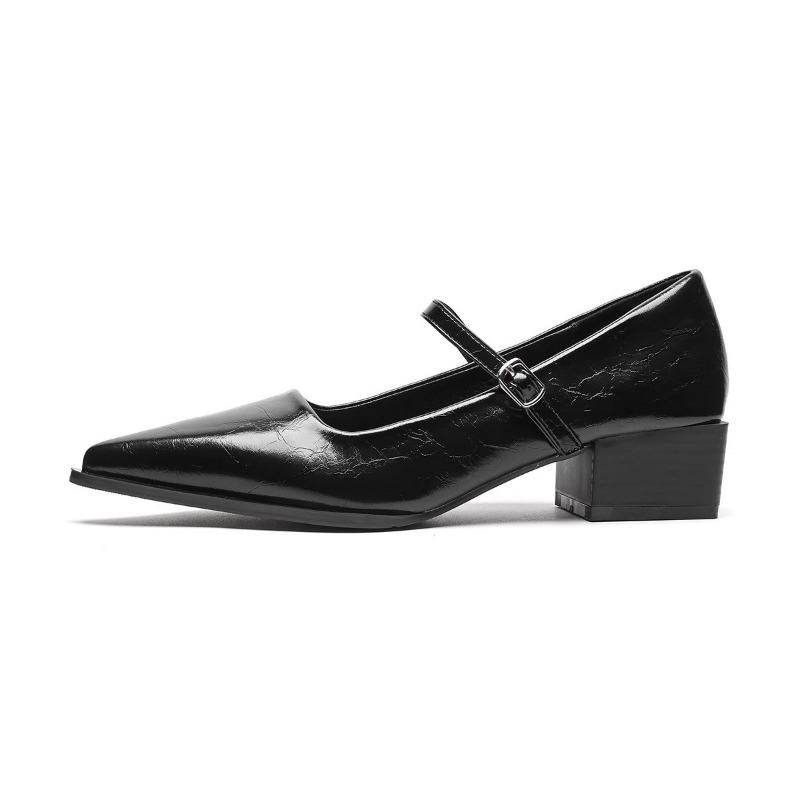 Fashion Women's Coarse Heel Shoes Spring New Pointed Head Shallow Mouth Word with Anti-slip Wear-resistant Low-top Shoes