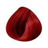 L'Oréal Professionnel Paris - Ton-in-Ton Coloration Dia Color - 6.60 : Dunkelblond Rot Intensiv - 60ml