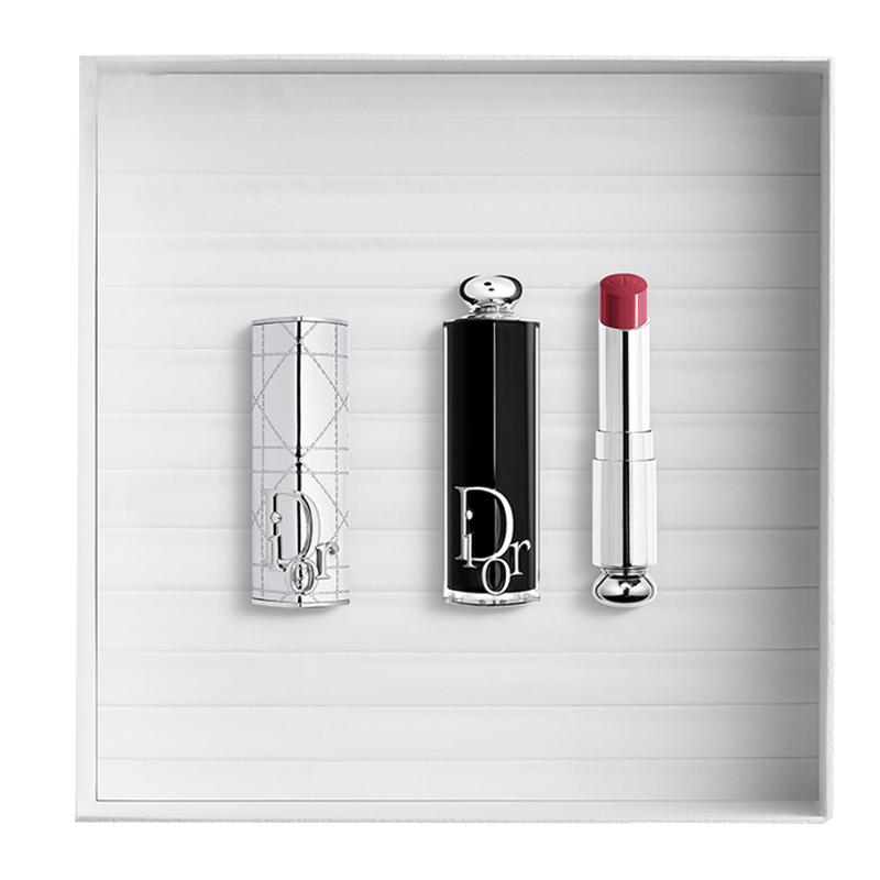 Набор губных помад DIOR Lipstick Case+Lipstick #667 DIORMANIA