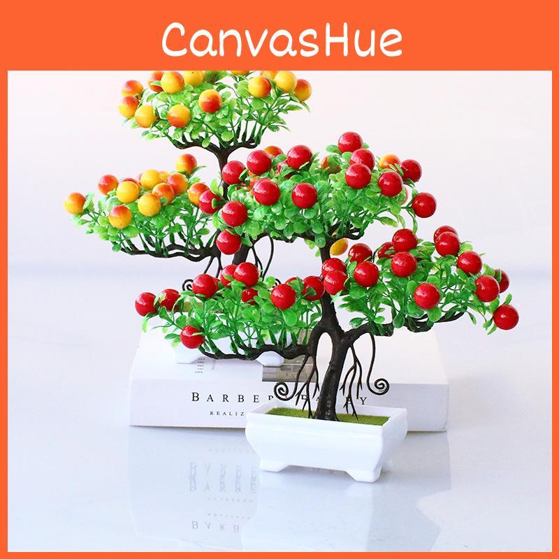 Artificial Glabra Pachira Pasq Injection Molded Plastic For Ornament Desktop