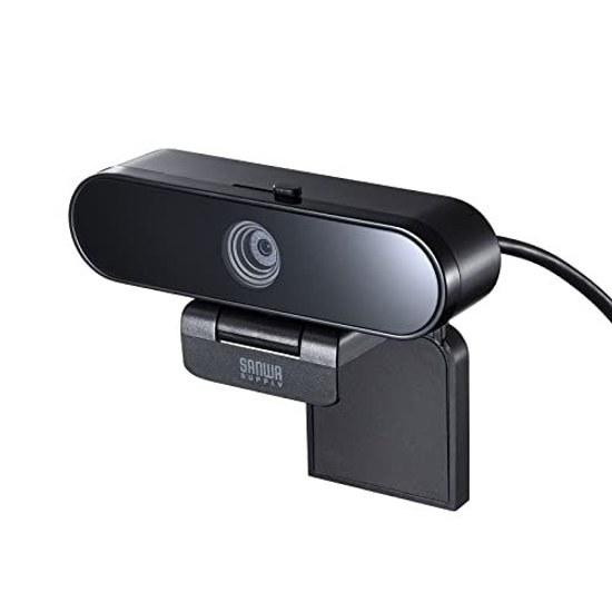 Sanwa Supply USB Webcam CMS-V67BK