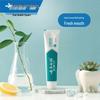 Yunnan Baiyao Fresh Mint Lemon Toothpaste