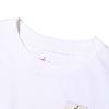 Jordan Colorblock Logo Crop Top T-Shirt Women Tops White DO5039-101