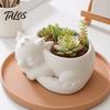 Talos Blumentopf-Ornament, 3D-gedruckte schlafende Drachenform, matt großer gewölbter Pflanztopf, für Heim-Büro-Schreibtisch-Garten-Dekoration
