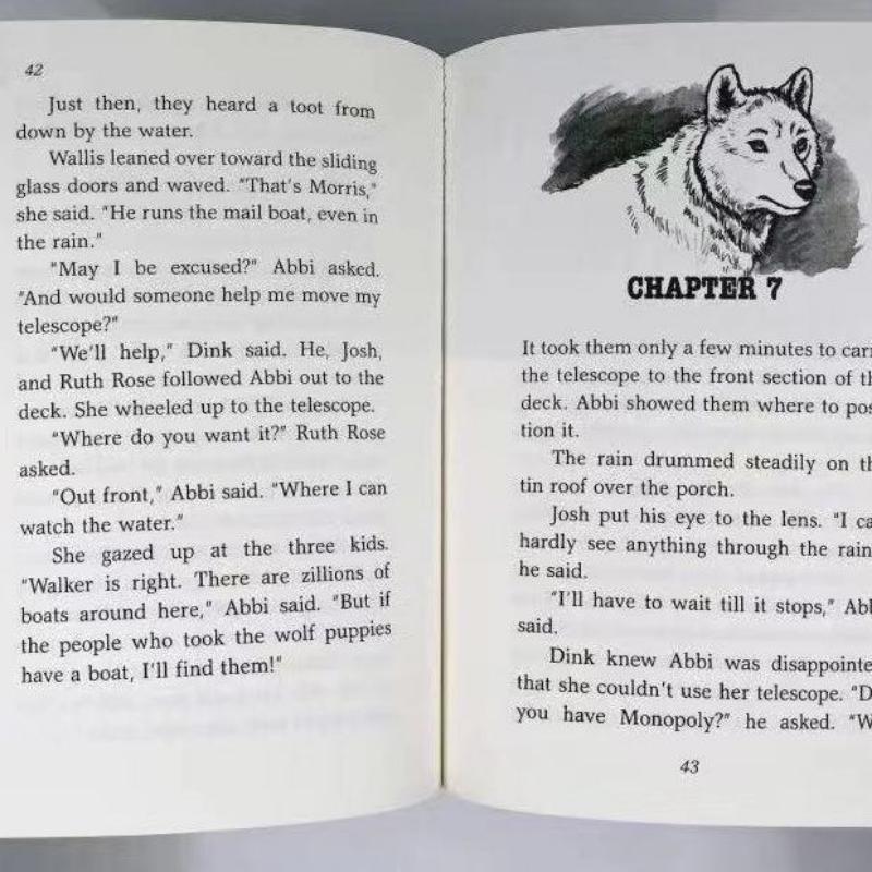 26 Libri/set Misteri dalla A alla Z Ron Roy Romanzi Investigativi per Bambini Ragionamento Romanzi per Bambini Romanzi a Capitoli Elementari Set di Libri Inglesi