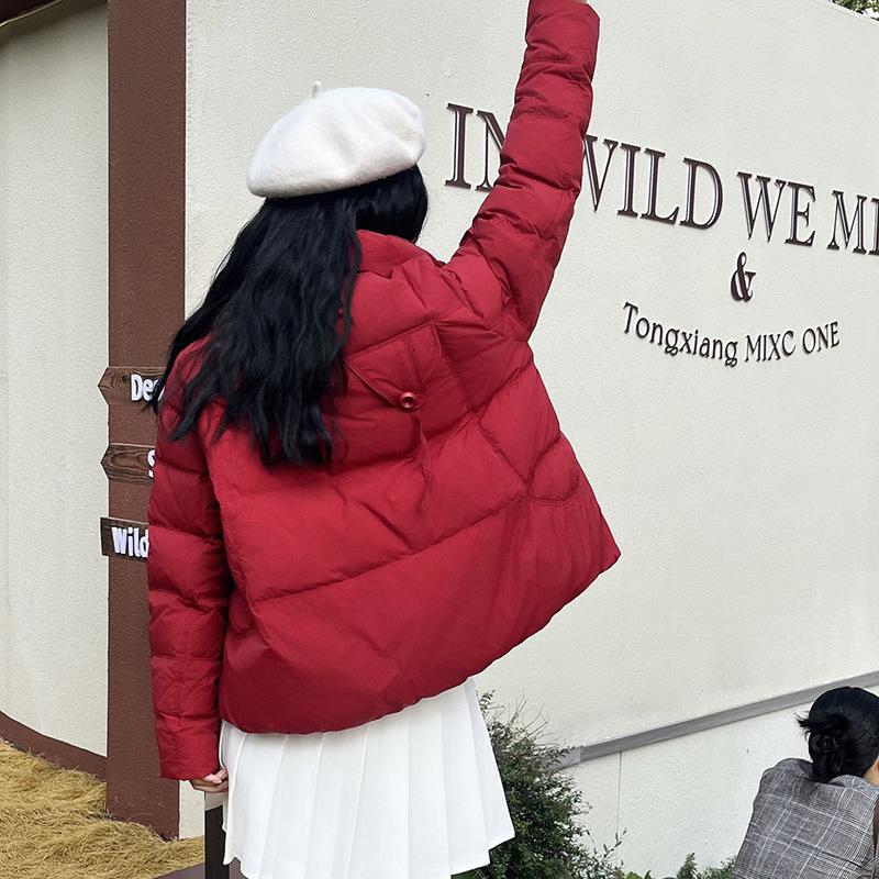 Retro stand-up collar short down jacket women's 2024 new fashion literary style white duck down thickened casual coat tide