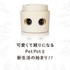 [Amepura] Pet Pot Pet Pot Planter Plant Watering Home Garden (1)