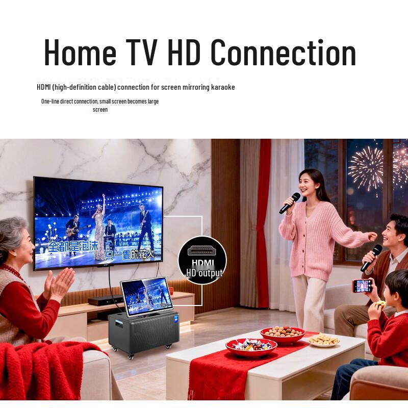 Philips Portable KTV Speaker System SD290 (CN Version)