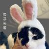 Cute Rabbit Ears Dog Hat Teddy Bichon Costume Transform Pet Cat Headwear Fashionable Net Celebrity Accessories