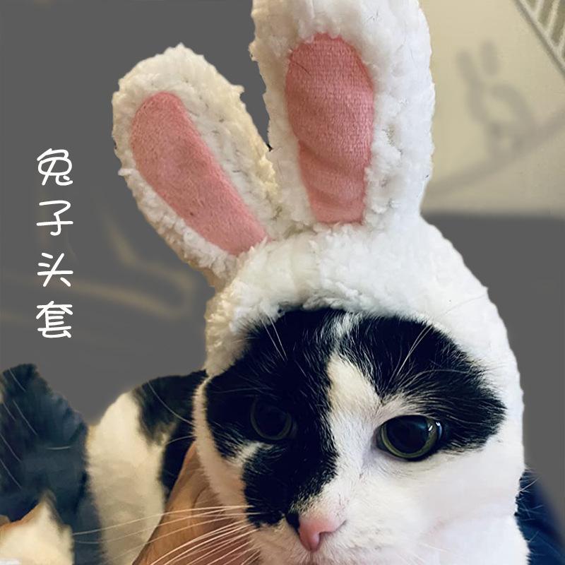 Cute Rabbit Ears Dog Hat Teddy Bichon Costume Transform Pet Cat Headwear Fashionable Net Celebrity Accessories