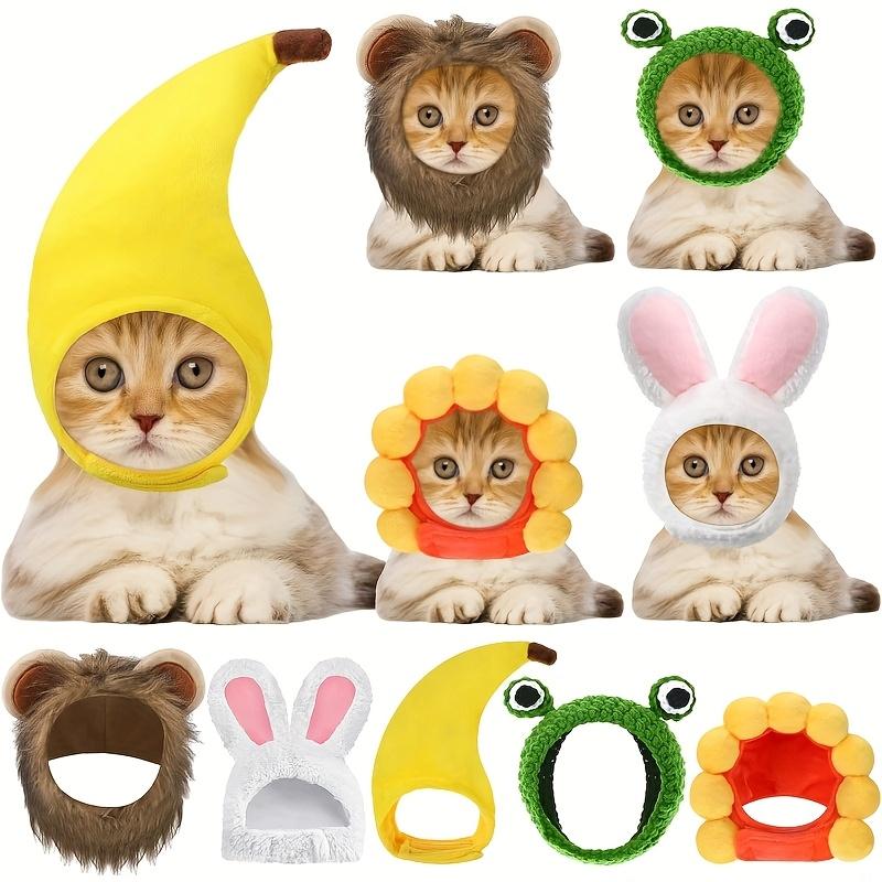 5pcs Cute Cat and Dog Costume Set Rabbit Hat Ears Fun Lion Headband I'm Just A Baby Small Dogs Chihuahua Clothes Accessories