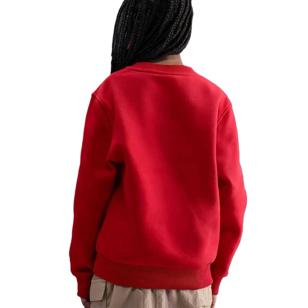 Nike Kids Sweatshirts Moderate HQ0975-657