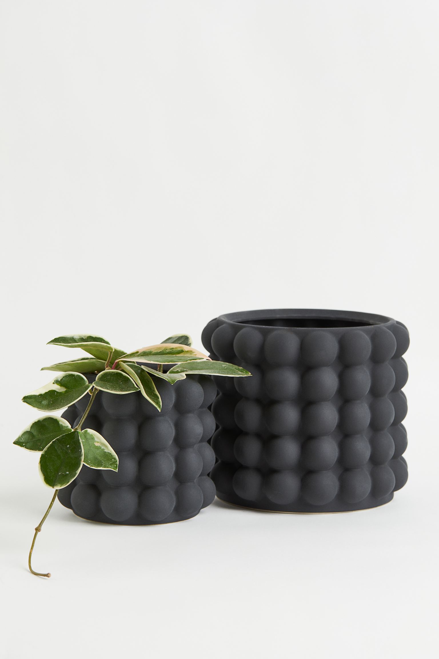 

Small bubbled plant pot