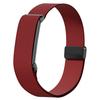 Nylon Arm Band Elastic Replacement Strap Sport Bicep Band for Google Fitbit Air Fitness Tracker