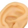 Silicone Ear Model Lifelike Soft Left Right Ear Piercing Practice Model for Earrings Earphones Display 1 Pair